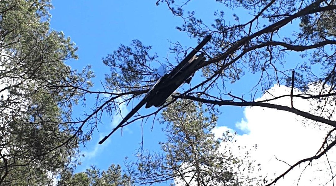 Runaway Latvian drone found meditating in tree