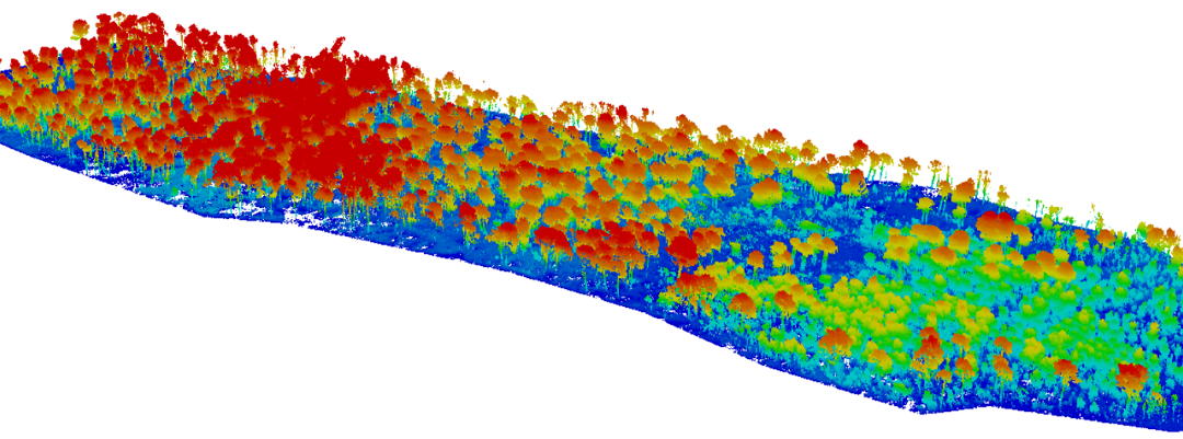 Predicting fire risk and improving forest fire management with UAV LiDAR