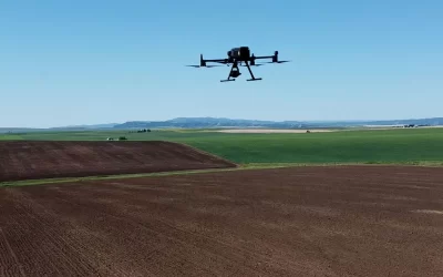 How Drones Increase the Effectiveness of Rock-Picking