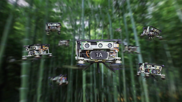 Watch a Swarm of Autonomous Drones Manoeuvre Through a Dense Bamboo Grove with Finesse